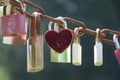 Love padlocks on a chain on a sunny day on a green background Royalty Free Stock Photo