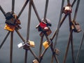 Love padlocks on locked on the railings on the bridge Royalty Free Stock Photo