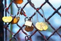Love padlocks in Paris on the fence