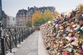 Love Padlocks on Pont Neuf over the Seine River, Paris, France. Royalty Free Stock Photo