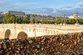 Love padlocks at the Pont Neuf in Paris