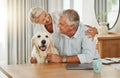 Love, pet and senior couple with dog relax at home bonding, playing and spend quality time together. Retirement life Royalty Free Stock Photo