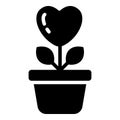 love plant, growth black