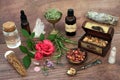 Love Potion and Aphrodisiac Ingredients for Magic Spell Concocti Royalty Free Stock Photo