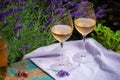 Love Provence, romantic picnic with glasses of cold French rose wine and purple lavender flowers in sunny summer garden