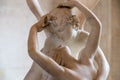 Love and psyche statue detail