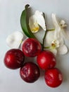Red Big Plums Sweet With orchid desert on White Plate Royalty Free Stock Photo