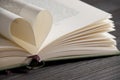 Love reading - book pages forming heart shape Royalty Free Stock Photo