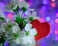 Love red heart valentine flower yellow gift spring