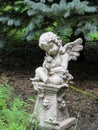 Love and respect for nature, mirrored in a cherub