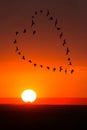 Sunrise, Sunset Love, Romance, Birds Royalty Free Stock Photo