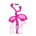 LOVE with romantic flamingos - Valentine`s Day hand drawn illustration with two Flamingo couple in love. Royalty Free Stock Photo