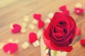 Love and romantic valentine rose sweet background Royalty Free Stock Photo