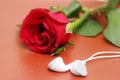 Love, rose, romantic music concept Royalty Free Stock Photo