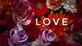 Love Roses Colorful Abstract Backgrounds