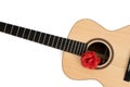 Love song. Acoustic guitar with red rose. Romantic music concept image Royalty Free Stock Photo