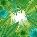 Tropical plant background with leaves of bananas and palm trees. Vector Isolated Layers. Summer exotic design for invitations, pos