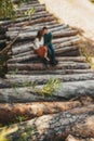 Love story on the stack of logs in the autumn forest. Branch of fir in selective focus