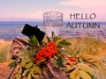 Goodbye Romantic Summer Hello Autumn August Season Wild tree Autumn leaves and stone on beach sand red Rowanberry glass fres Royalty Free Stock Photo