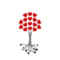 Love tree with heart leaves and root icon isolated on white background Royalty Free Stock Photo