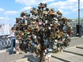 Love tree on Luzhkov (Tretyakov) bridge in Moscow Royalty Free Stock Photo