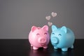 Love of two piggy banks. Emotional connection, mutual care.