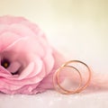Love Wedding Background with Gold Rings and Beautiful Flower Royalty Free Stock Photo
