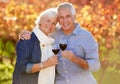 We love wine-tasting. Cropped portrait of a senior couple enjoying an afternoon of wine tasting. Royalty Free Stock Photo