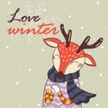 Love winter card of deer with scarf Royalty Free Stock Photo