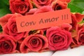 With love wishes in spanish and bouquet of gorgeous red roses Royalty Free Stock Photo
