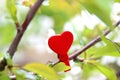 Love. Wooden heart in cherry blossom. Wooden clothespin in the form of heart Royalty Free Stock Photo