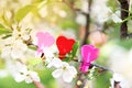 Love. Wooden heart in cherry blossom. Wooden clothespin in the form of heart Royalty Free Stock Photo