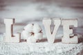 Love wooden letters Royalty Free Stock Photo