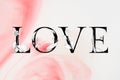 Love word floral font watercolor typography