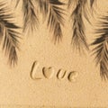 Love word hand-drawn, palm tree branch shadow on sand tropical beach. valentines day. Beach, travel, summer, holiday concept. Royalty Free Stock Photo