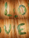 Love written with leaves Royalty Free Stock Photo
