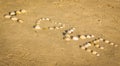 Love written with sea shells on the sand at the beach Royalty Free Stock Photo