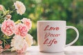 Love Your Life Inspirational Quotes Royalty Free Stock Photo