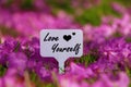 Love yourself quote. Royalty Free Stock Photo