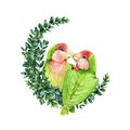 Lovebird couple parrots on a buxus wreath watercolor illustration. Exotic tropical birds symbol of true love image. Small green pa