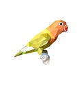 lovebird in lowpoly art