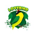 Lovebird vector, illustration and logo team