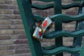 Lovelocks Royalty Free Stock Photo