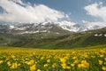 Lovely alpine landscape Royalty Free Stock Photo