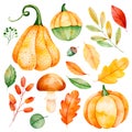 Watercolor fall leaves, branches,pumpkins etc. Royalty Free Stock Photo