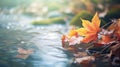 Lovely autumn season, colored maple leaves drifting in forest river stream - generative AI