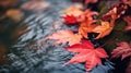 Lovely autumn season, colored maple leaves drifting in forest river stream - generative AI