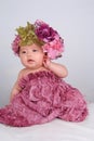 Lovely baby Royalty Free Stock Photo