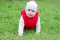 Lovely baby creeps on grass Royalty Free Stock Photo