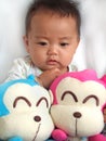 Lovely baby and toy monkeys Royalty Free Stock Photo